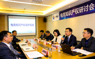 电竞知识产权研讨会现场 - 法律专家与行业代表讨论