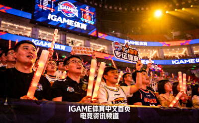 IGAME体育中文首页电竞资讯频道报道配图 - 篮球赛事现场观众席
