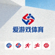 爱游戏体育官方网站标志，页脚品牌图标